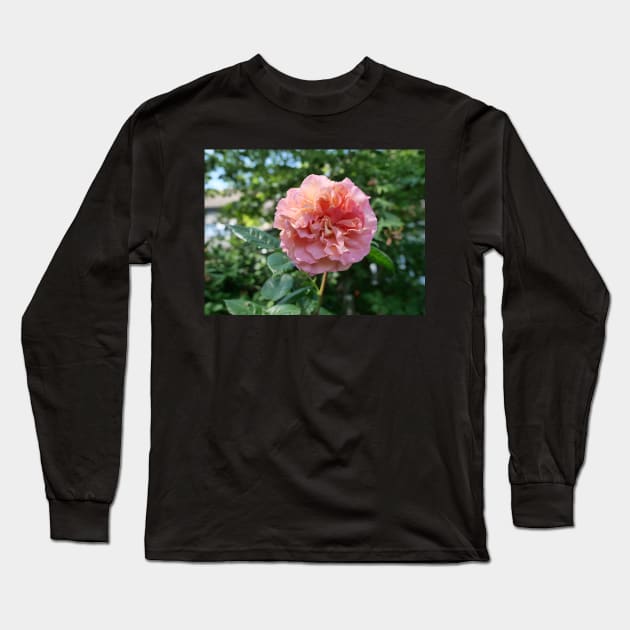 Fragrant Rachel Hybrid Tea Rose Long Sleeve T-Shirt by fantastic-designs